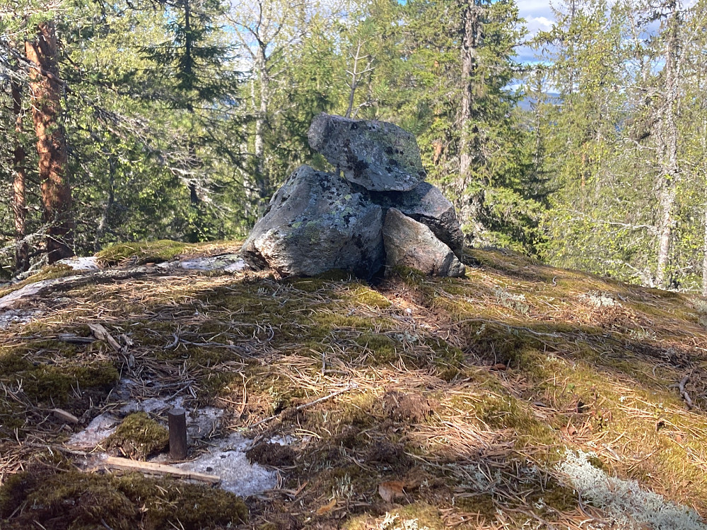 Marivollhøgda
