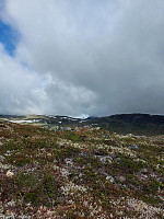 olad_20220814_62f8991f21291.jpg
