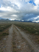 olad_20220822_6303b8f81ed1a.jpg