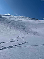olad_20230410_64342a9dda4fe.jpg