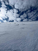 olad_20230410_64342aa0d4df2.jpg
