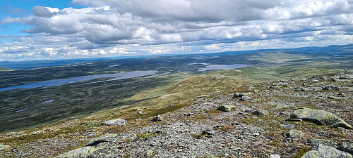 Langsua nasjonalpark mot Revsjø 