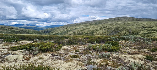 Dovrefjell