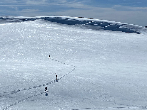 Hardangerjøkulen