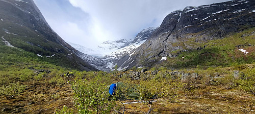 Telting mot Bødalssbreen